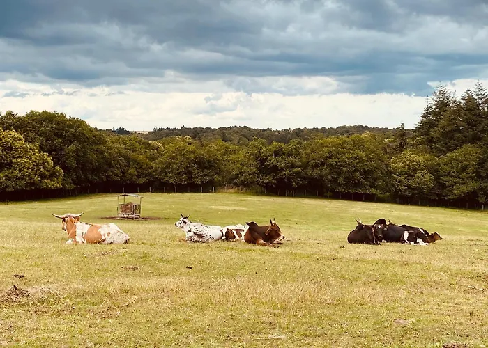 Escapade Dans Un Ranch