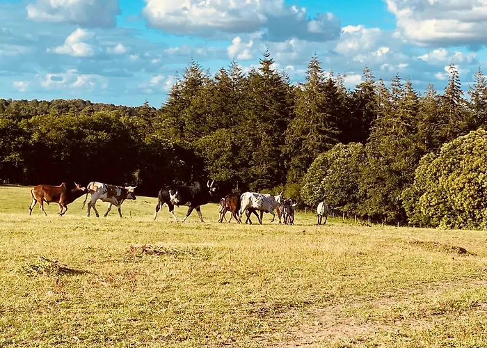 Escapade Dans Un Ranch