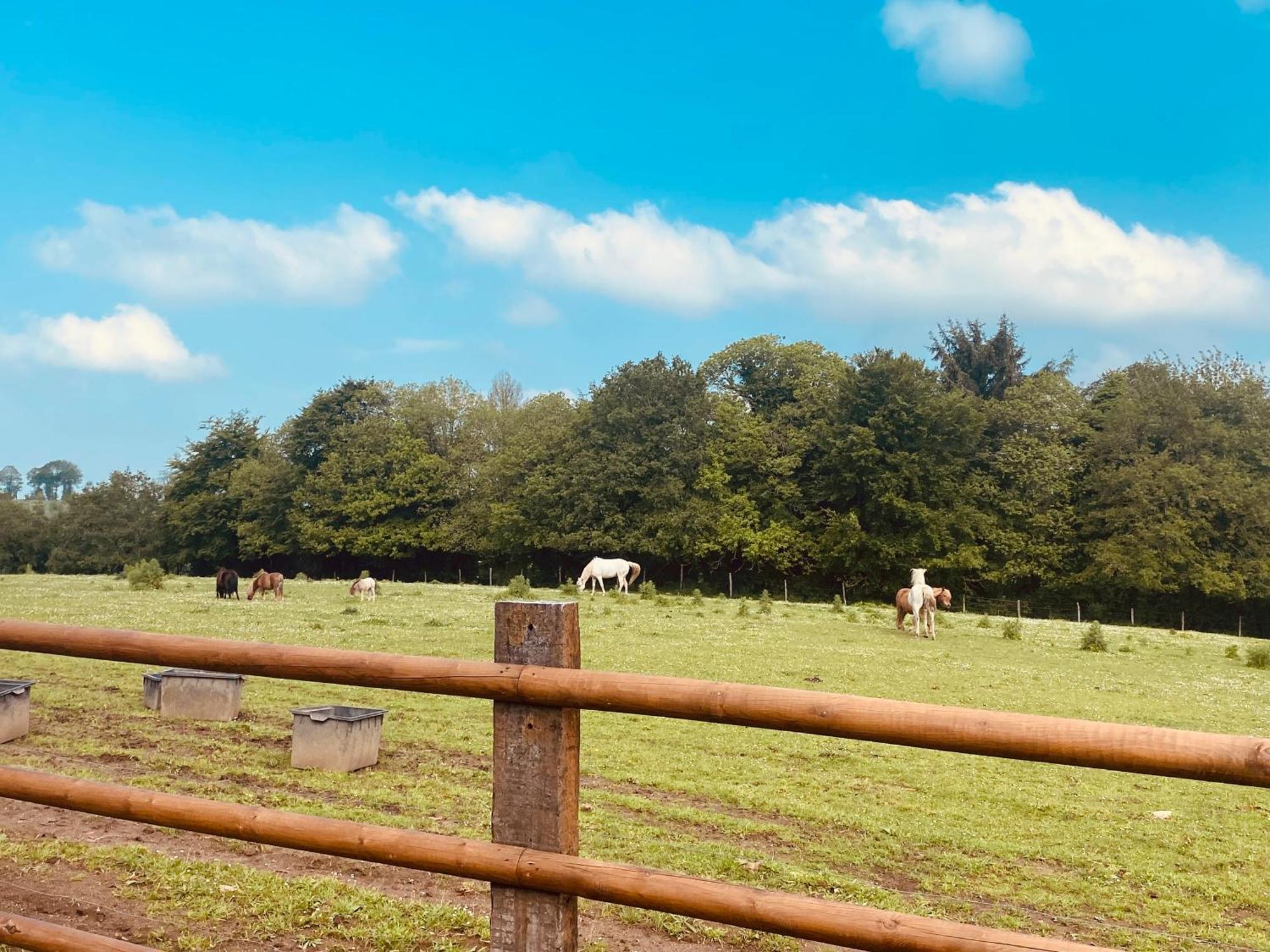 Appartement Escapade Dans Un Ranch