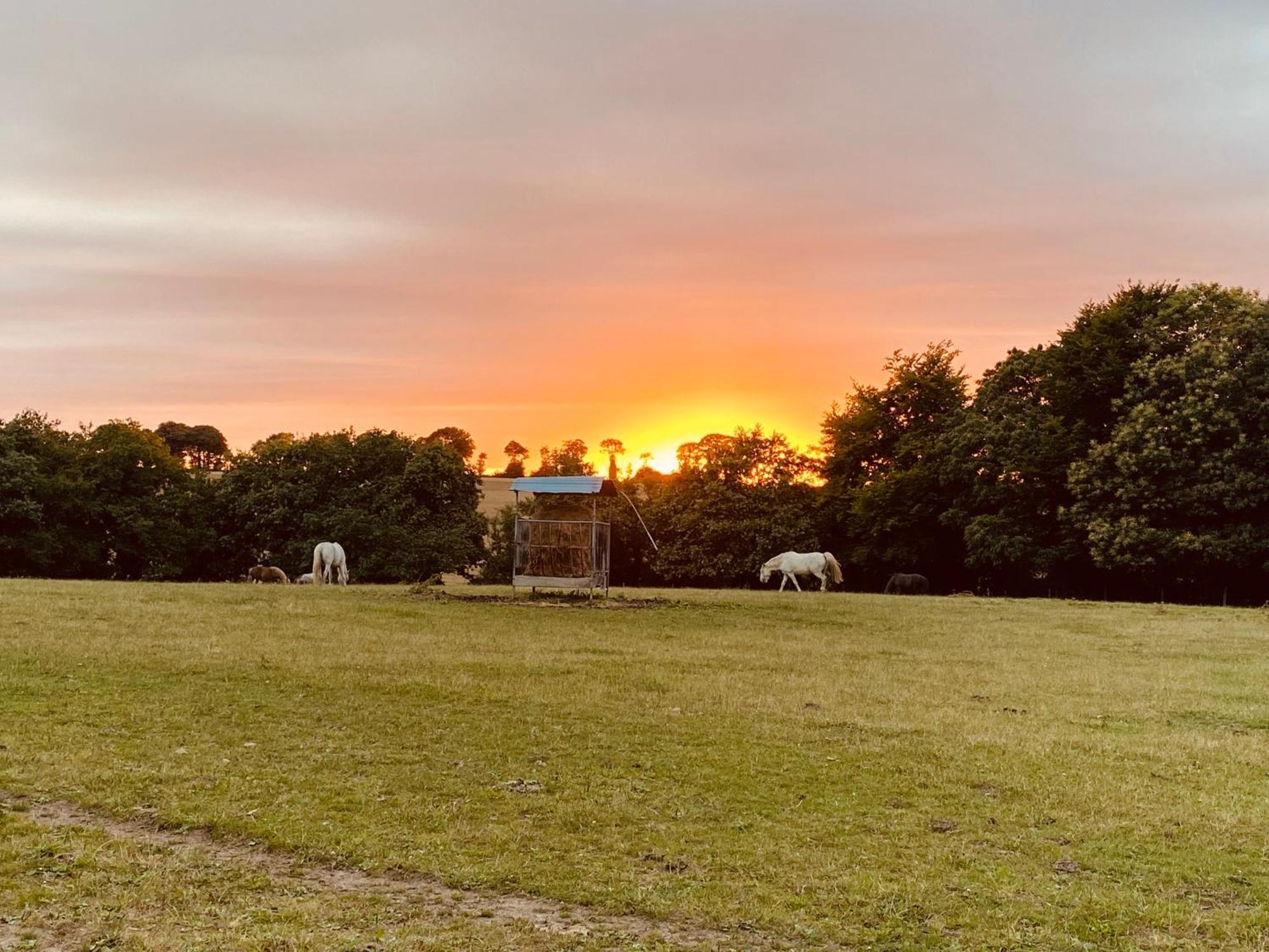 Appartement Escapade Dans Un Ranch Le Sourn